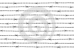 Barbwire Isolated On White photo