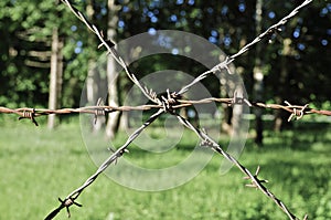 Barbwire in Westerbork Transit Camp