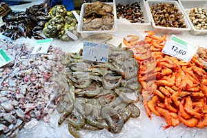 Barcelona Boqueria fish market