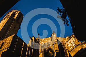 Barcelona Cathedral in Gothic Quarter Catalonia Spain