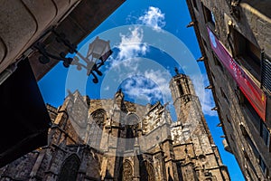 Barcelona Cathedral in Gothic quarter, Spain