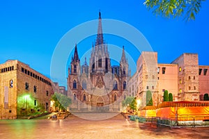 Barcelona Cathedral in the morning, Spain