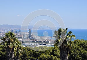 Barcelona panorama from Montjuic Castle, with palm trees and the Balearic Sea