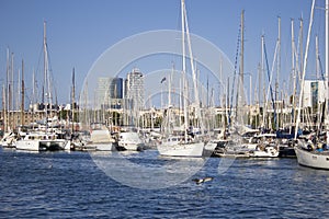 Barcelona`s Harbor