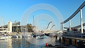 Barcelona, Spain, Europe.Large seagulls fly over sea water. A big yacht club with docked sailboats. Sun port with yachts