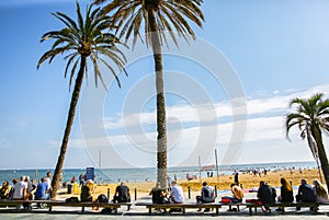 BARCELONA, SPAIN - OCTOBER 15, 2018: Street near the beach in Barcelona. Palm trees and many people. Tourists relaxing. Holiday
