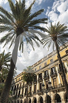 Barcelona (Spain): Royal Square