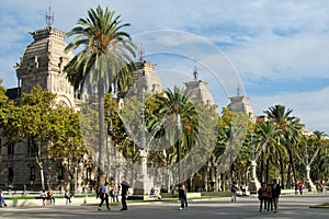 Barcelona street with palm trees