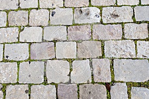 Barcelona Texture - Stone Tile