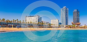 Barceloneta beach in Barcelona. Nice sand beach with palms. Sunny bright day with blue sky. Famous tourist destination in