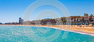 Barceloneta beach in Barcelona. Nice sand beach with palms. Sunny bright day with blue sky. Famous tourist destination in