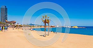 Barceloneta beach in Barcelona. Nice sand beach with palms. Sunny bright day with blue sky. Famous tourist destination in