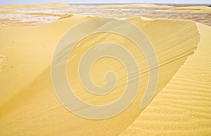 Barchan dune complex in Qatar