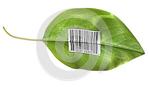 Barcode leaf