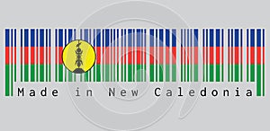 Barcode set the color of New Caledonia flag, blue red and green with a yellow disc fibrated black and defaced with a symbol.