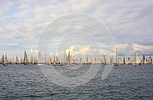 Barcolana regatta in Trieste