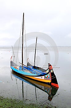 Barcos moliceiros, traditional boats of Portugal