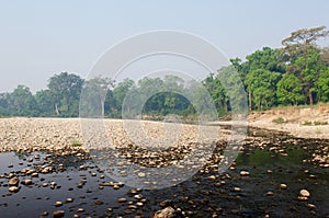 Bardia National Park in Nepal