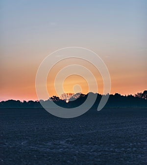 Bare agricultural field with trees at sunrise.