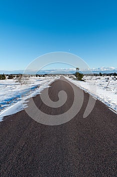 Bare asphalt road through a wintry plain landscape