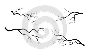 Bare branch set vector symbol icon design.