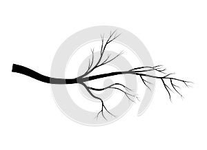 Bare branch tree silhouette vector symbol icon design. Beautiful illustration isolated on white background