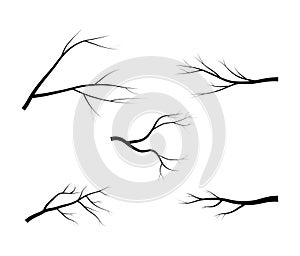 Bare branch tree silhouette vector symbol icon design. Beautiful illustration on white background