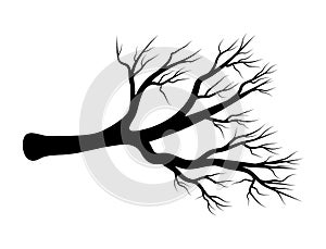 Bare branch vector symbol icon design. Beautiful illustration is