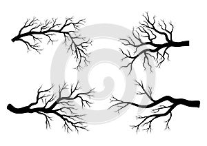 Bare branch winter set design isolated on white background