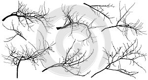 Bare branches different trees apple tree, chestnut, cherry tree, poplar and etc., set. Vector illustration