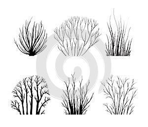 Bare bush silhotes set, leafless bushes isolated on whiteuet