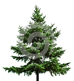 Nackt weihnachtsbaum 