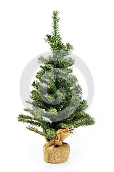 Bare Christmas tree without decoration