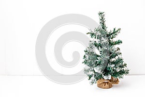 Bare Christmas tree without decoration isolated on white