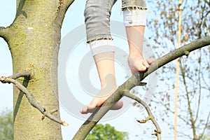 Bare feet on branch