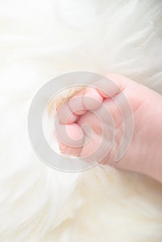 Bare feet of a cute newborn baby in warm white blanket. Childhood. Small bare feet of a little baby girl or boy.