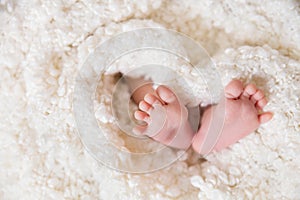 Bare feet of a cute newborn baby in warm white blanket. Childhood. Small bare feet of a little baby girl or boy
