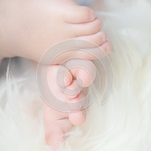 Bare feet of a cute newborn baby in warm white blanket.