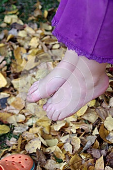 Bare Feet in the fall photo