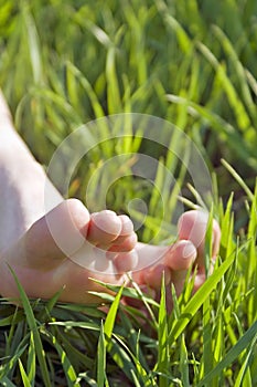 Bare feet in the grass