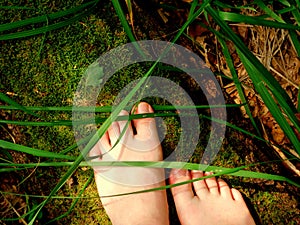 Bare feet on a mossy trunk and grass