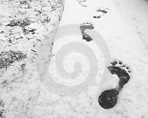 Bare feet on the snowy surface