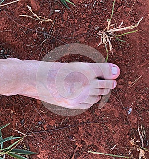 Bare feet stepping on the grass and dirt floor