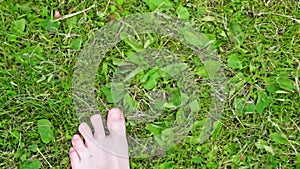 Bare feet steps on grass