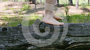 Bare feet walk on a log in the forest. Relax