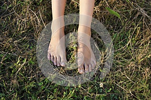 Bare female feet on a grass