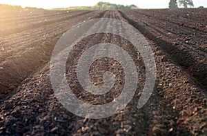 Bare field with dark soil