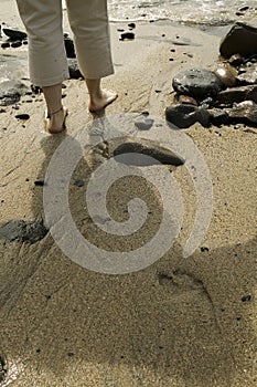 Bare Foot on Beach