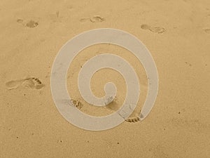 Bare footprints in seasand of parent and child