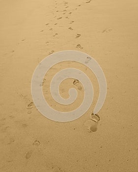 Bare footprints in seasand of parent and child in vertical orientation